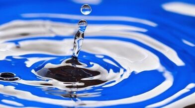 essence of drinking diet for weight loss